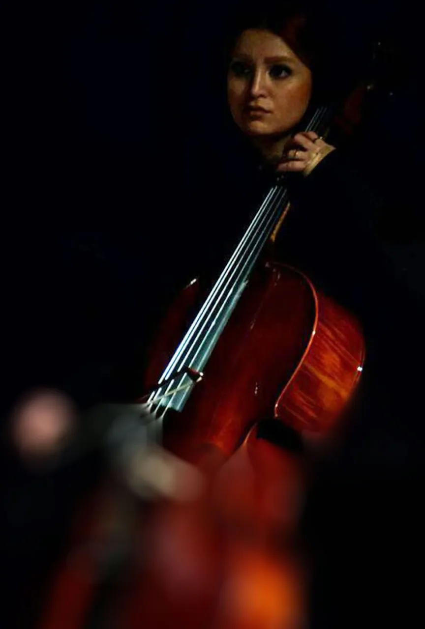 ثبت‌نام کلاس ویولنسل | آموزش ویولنسل با استاد سوسن راد 🎻